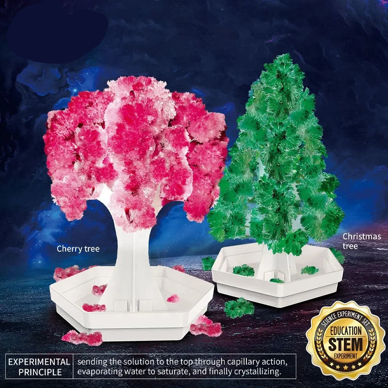 2-in-1 Magic Growing Paper Tree