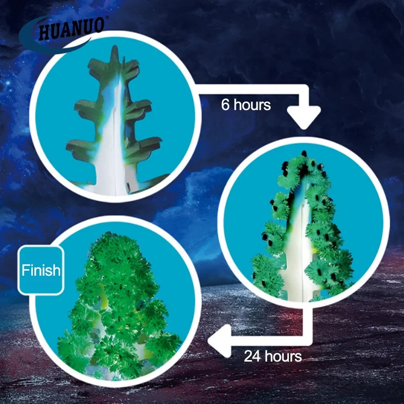 2-in-1 Magic Growing Paper Tree