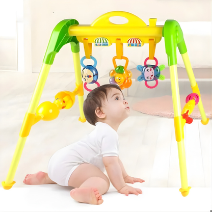 Baby Activity Fitness Frame