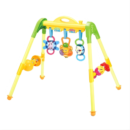 Baby Activity Fitness Frame