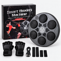 Smart music boxing machine kit with box, a pair of training gloves, USB cable and mounting strips