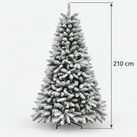 Snow flocked Christmas tree measuring 210cm tall