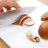 Foldable Cutting Board