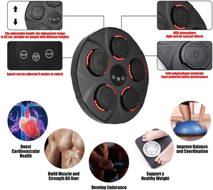 Professional Music Boxing Machine