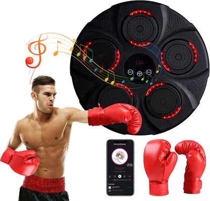 Professional Music Boxing Machine