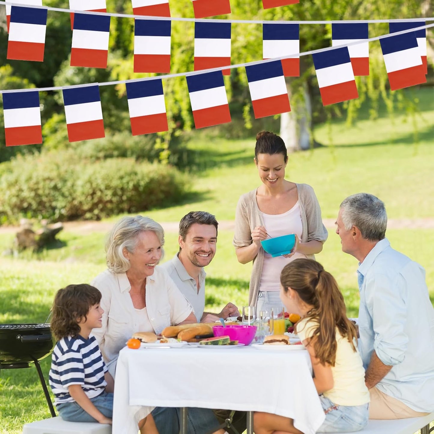 France Banner 10 Flags 20x30 cms