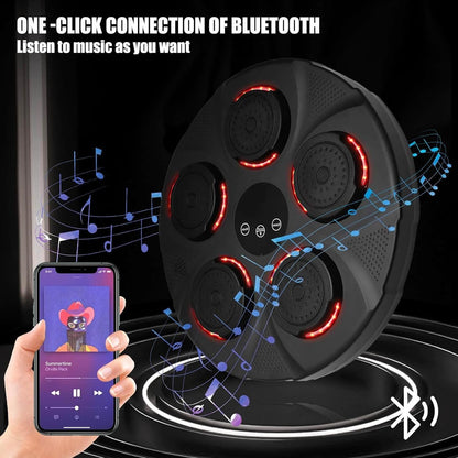 Professional Music Boxing Machine