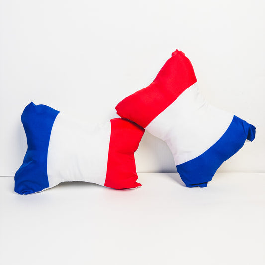 France World Cup Pillow
