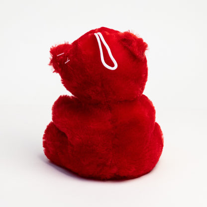 Valentine Teddy Bear Plush
