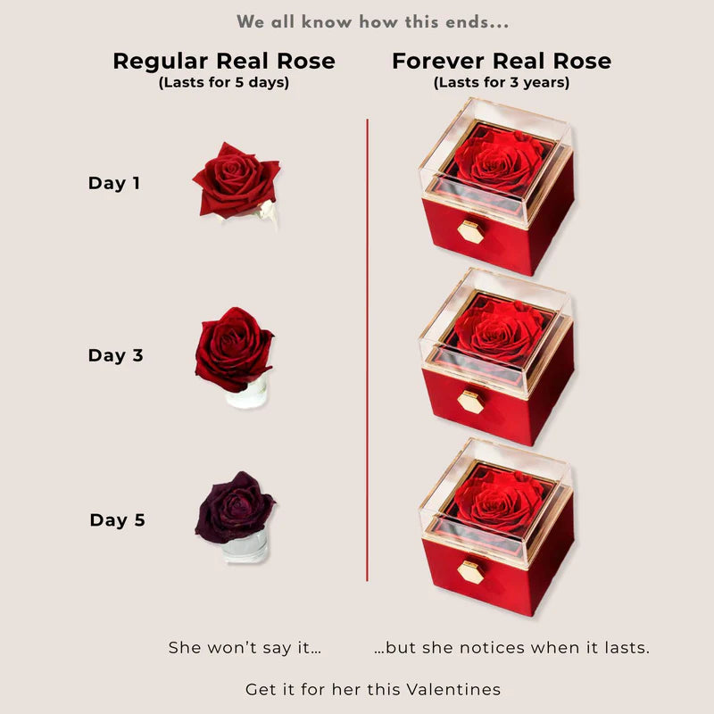 Eternal Rose Surprise Jewelry Box