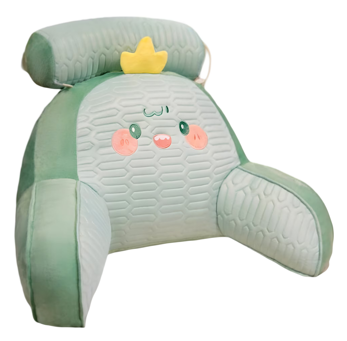 Plush Back Support Pillow