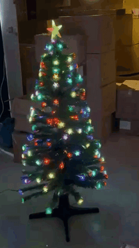 Christmas tree lit up with multicolor, color-changing star lights
