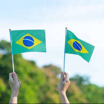World Cup Hand Waving Flag 30x45 cms